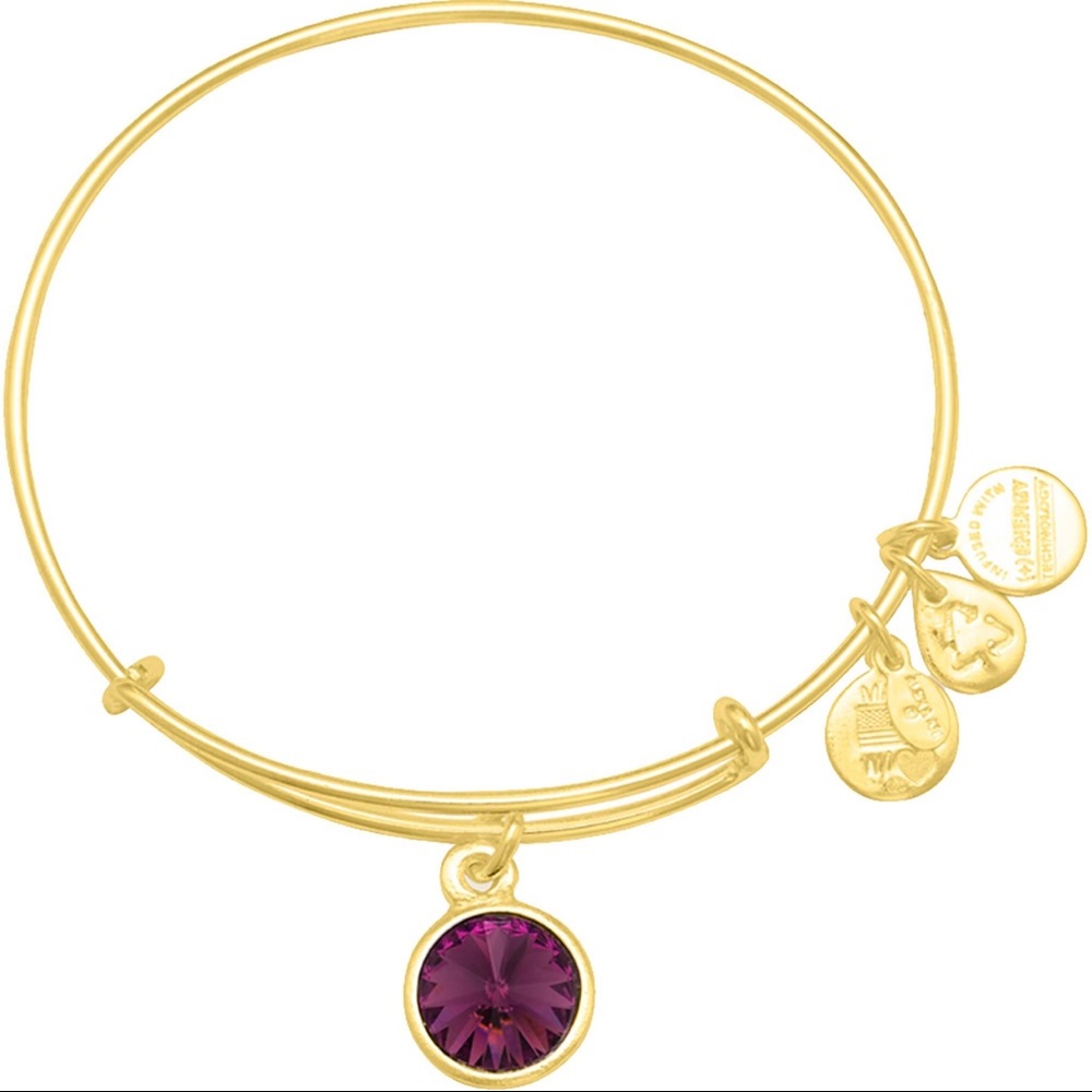 Alex and Ani Amethyst Birthstone Charm Bangle
